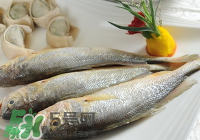 黃魚多少錢一斤？黃魚多少錢一斤2017？