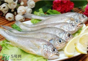 小黃魚多少錢一斤？野生小黃魚多少錢一斤？