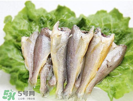 小黃魚可以養(yǎng)殖嗎？小黃魚能人工養(yǎng)殖嗎？