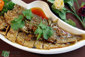 小黃魚可以養(yǎng)殖嗎？小黃魚能人工養(yǎng)殖嗎？