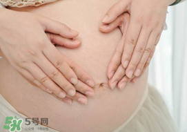 孕婦驅(qū)蚊植物推薦 孕婦能用植物驅(qū)蚊嗎？