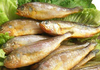 小黃魚多少錢一斤？野生小黃魚多少錢一斤？