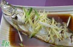 白條魚多少錢一斤2017？野生白條魚多少錢一斤