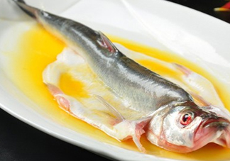 白條魚(yú)能長(zhǎng)多大？白條魚(yú)可以長(zhǎng)多大？