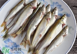 孕婦可以吃白條魚嗎？白條魚孕婦能吃嗎？