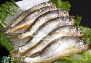 小黃魚不能和什么一起吃？小黃魚和什么相克？