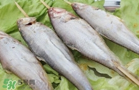 馬口魚怎么釣？馬口魚什么時候釣最好