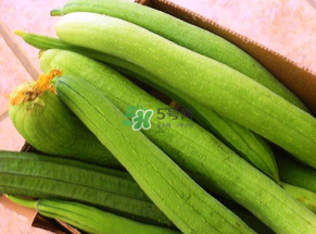 7月份吃什么蔬菜？七月份吃什么蔬菜？