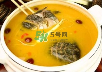 甲魚(yú)湯怎么做？甲魚(yú)湯的做法