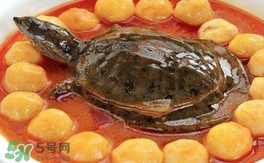 喝甲魚湯有什么好處？甲魚湯的功效與作用