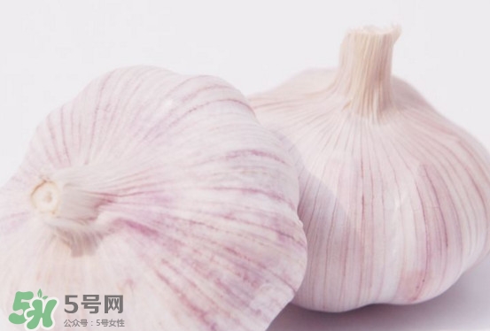 新蒜頭多少錢一斤2017？新蒜頭市場價格