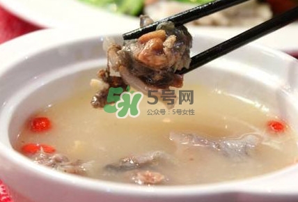甲魚(yú)湯怎么做？甲魚(yú)湯的做法