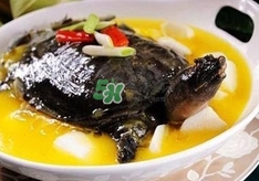 甲魚不能和什么一起吃？甲魚不能跟什么食物一起吃