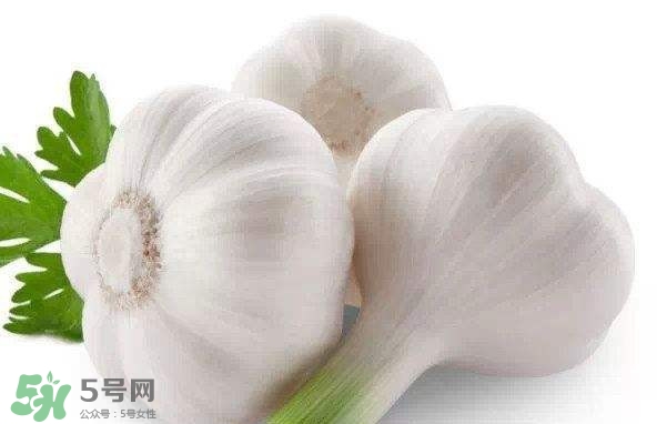 新蒜頭多少錢一斤2017？新蒜頭市場價格