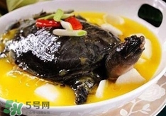 甲魚湯孕婦能喝嗎？甲魚湯孕婦可以喝嗎