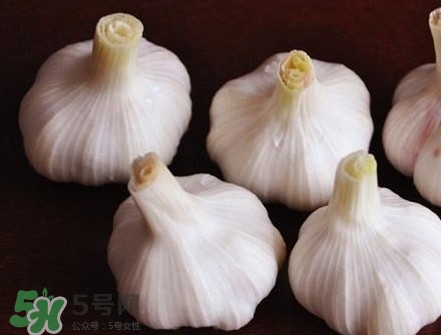 新蒜頭怎么弄成老蒜頭？新蒜頭和老蒜頭的區(qū)別