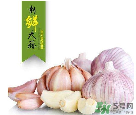 新蒜頭什么時(shí)候上市？新蒜頭幾月份上市