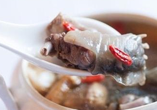 甲魚湯怎么做？甲魚湯的做法