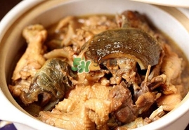 甲魚怎么做好吃？甲魚怎樣做最好吃