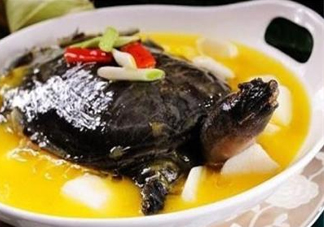 甲魚不能和什么一起吃？甲魚不能跟什么食物一起吃