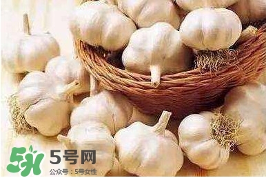新蒜頭怎么保存不發(fā)芽？新蒜頭怎么存放