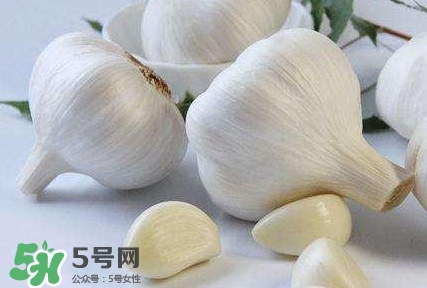 新蒜頭怎么保存不發(fā)芽？新蒜頭怎么存放