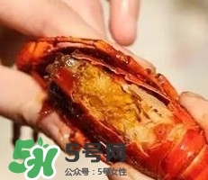 蝦黃孕婦能吃嗎？蝦黃在哪個位置圖解
