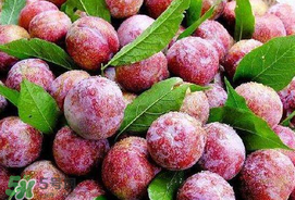 芒種吃什么水果？芒種吃什么水果好？