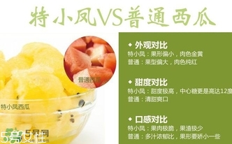 特小鳳西瓜孕婦能吃嗎？特小鳳西瓜孕婦可以吃嗎