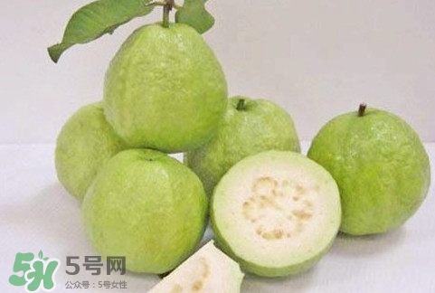 番石榴什么時(shí)候成熟？番石榴什么時(shí)候上市