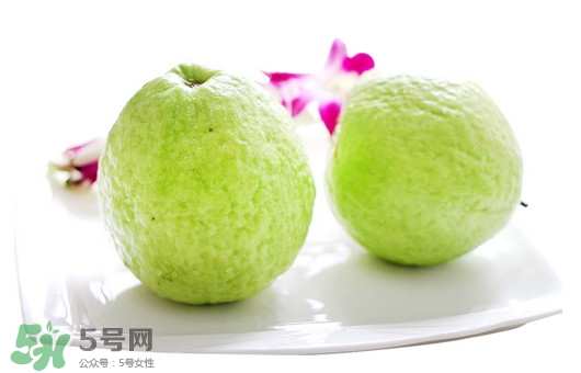 番石榴什么時候吃最好？番石榴什么季節(jié)吃最好
