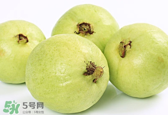 番石榴什么時(shí)候成熟？番石榴什么時(shí)候上市
