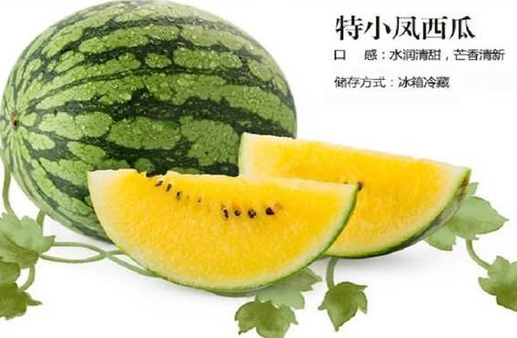 特小鳳西瓜是轉(zhuǎn)基因嗎？特小鳳西瓜是不是轉(zhuǎn)基因