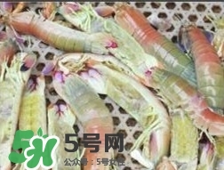 蝦黃孕婦能吃嗎？蝦黃在哪個位置圖解