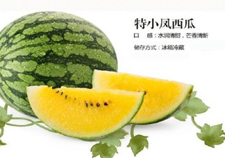 特小鳳西瓜是轉(zhuǎn)基因嗎？特小鳳西瓜是不是轉(zhuǎn)基因