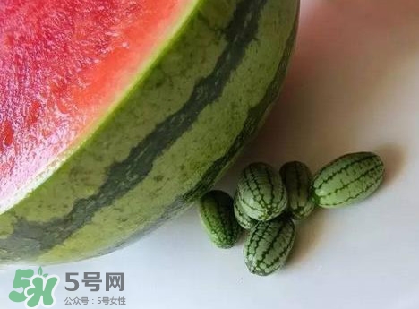 世界上最小的西瓜  迷你西瓜多少錢一個(gè)？