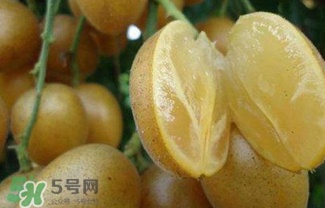黃皮果多少錢一斤2017？黃皮果價格