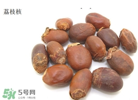荔枝核能種嗎？荔枝核怎么種出盆栽