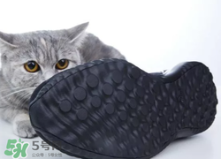 adidas alphabounce上腳怎么樣？阿迪達(dá)斯阿爾法小椰子測評