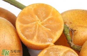 黃皮果怎么保存？黃皮果如何保存