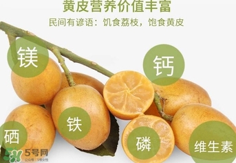 如何種植黃皮果？黃皮果怎么種植？