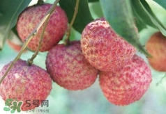 荔枝吃多了會(huì)怎么樣？荔枝上火怎么辦？