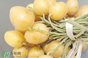 黃皮果多少錢一斤2017？黃皮果價格