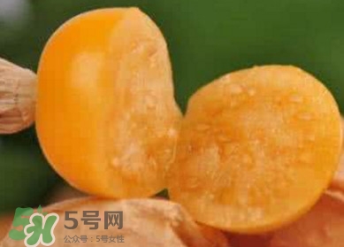 姑娘果是寒性嗎？姑娘果是涼性還是熱性？