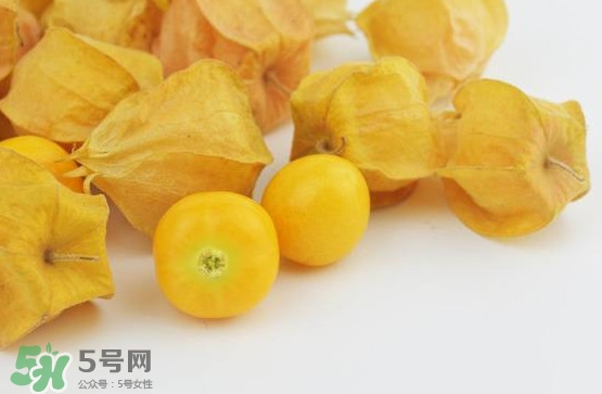 姑娘果什么時候成熟？姑娘果什么時候上市