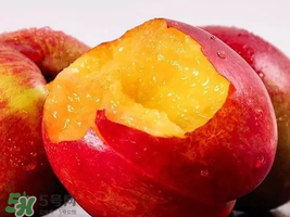 油桃怎么保存不會(huì)變軟？油桃怎么保存時(shí)間長(zhǎng)？