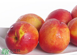 吃油桃會(huì)拉肚子嗎？拉肚子可以吃油桃嗎？