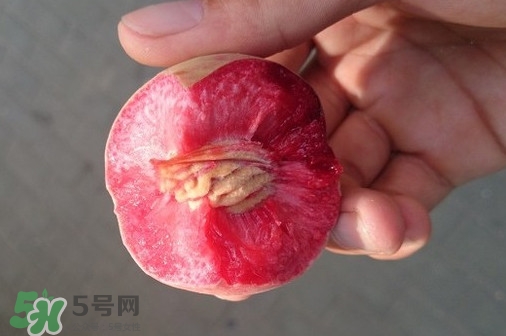 血桃產(chǎn)地在哪？血桃哪些地方產(chǎn)