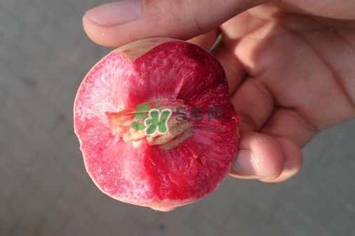 血桃多少錢(qián)一斤2017？血桃哪個(gè)品種最好吃