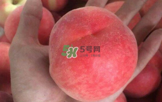 紅不軟桃?guī)自路莩墒?？紅不軟桃什么時候成熟